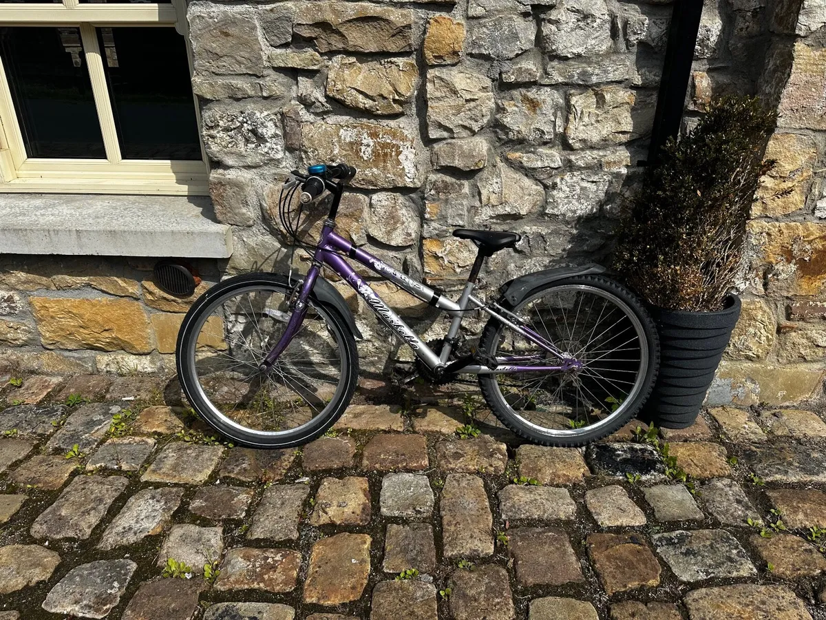 Bicycle