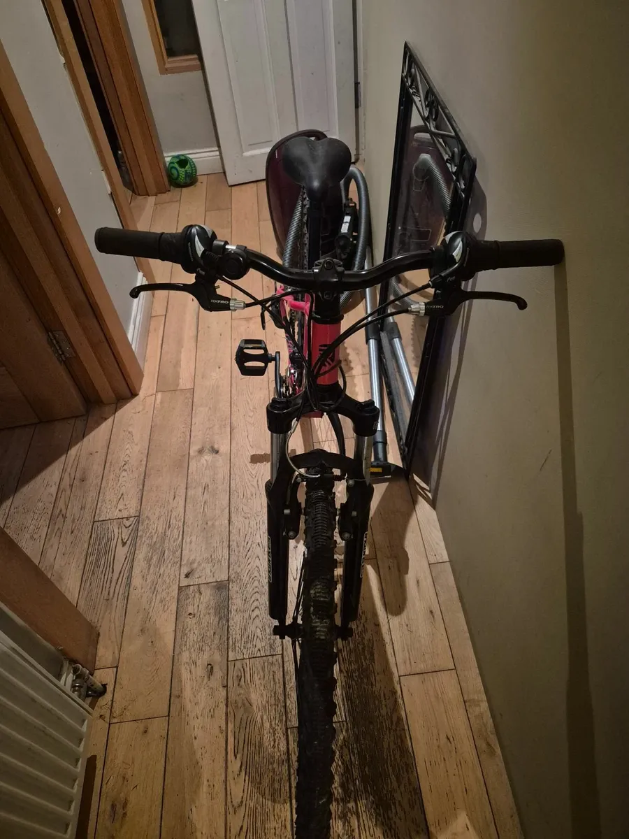 Bicycle - Image 1