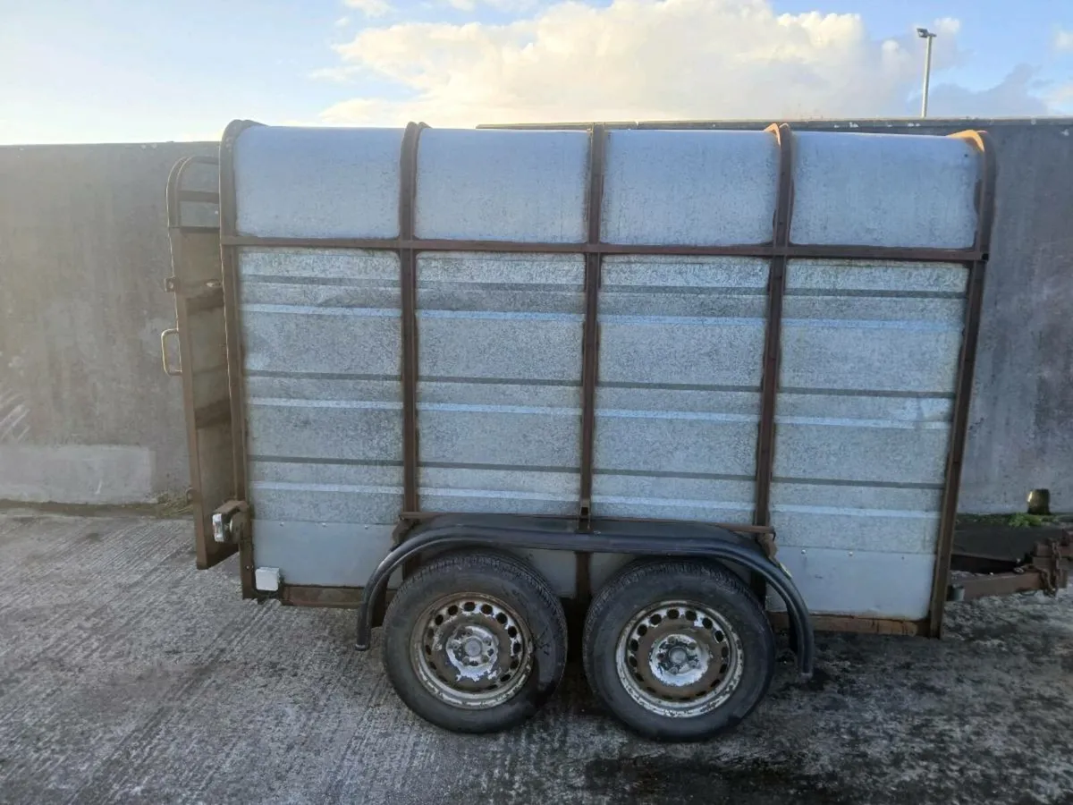 Trailer for sale - Image 1