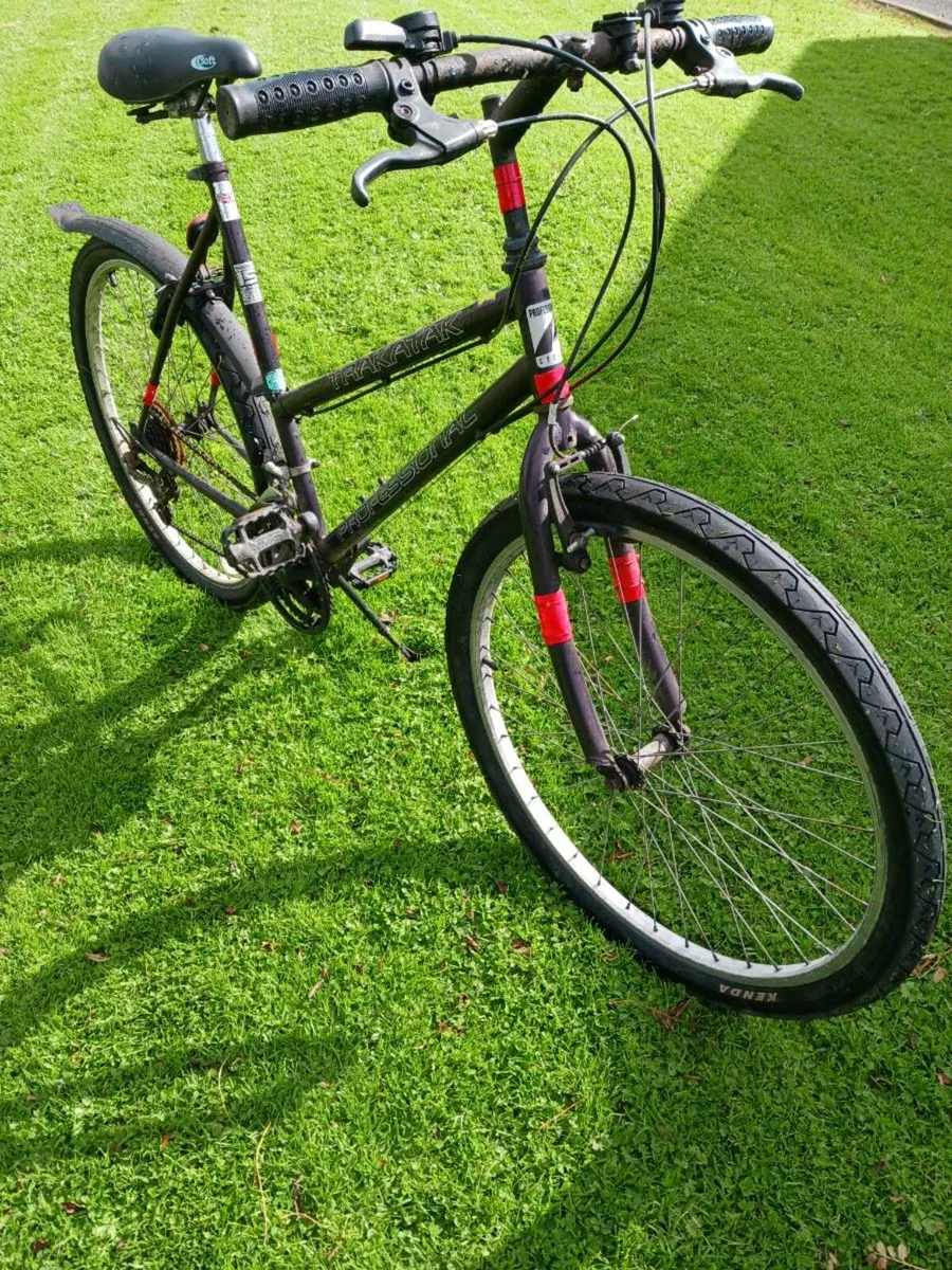 Ladies all terrain bicycle - Image 4