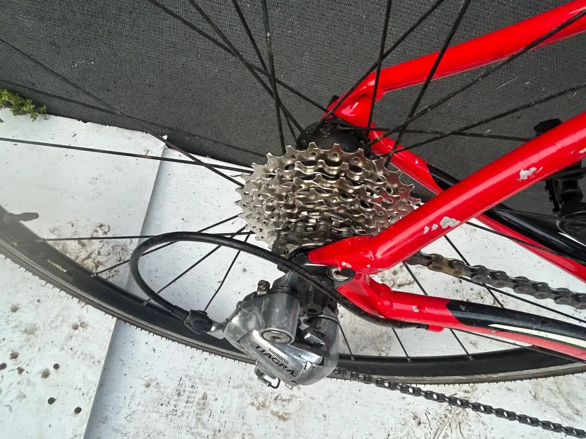 Specialized Secteur ❗️Open 7 days ❗️ - Image 2