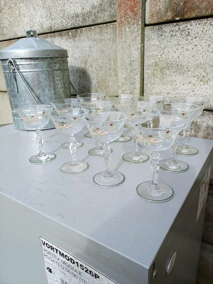 Vintage Eternal Beau Cocktail Glasses - Image 3