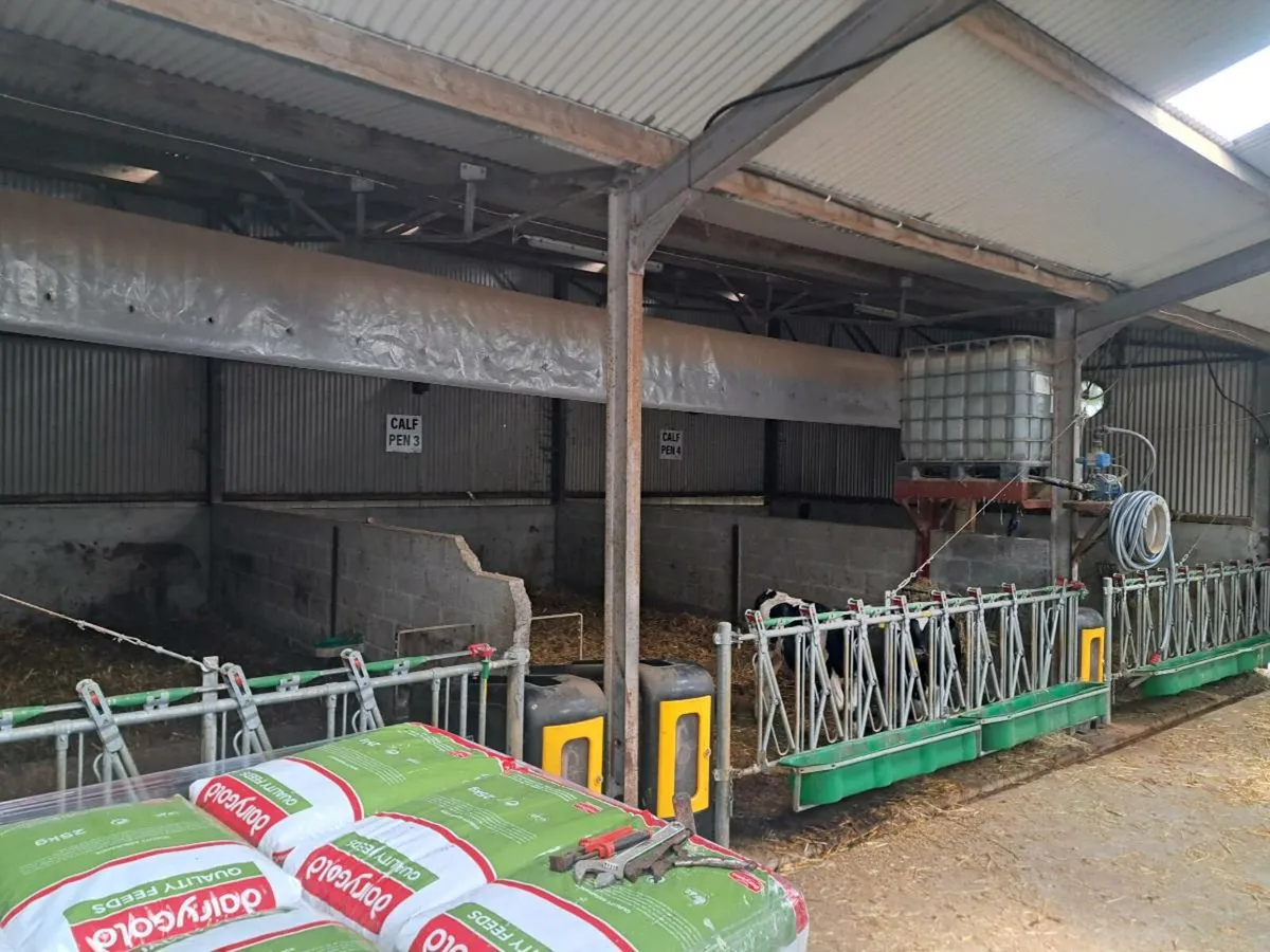 Calf ventilation - Image 3
