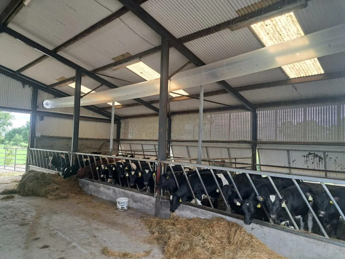 Calf ventilation - Image 4