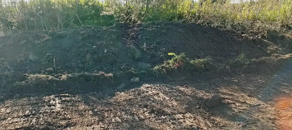 Top soil - Image 3