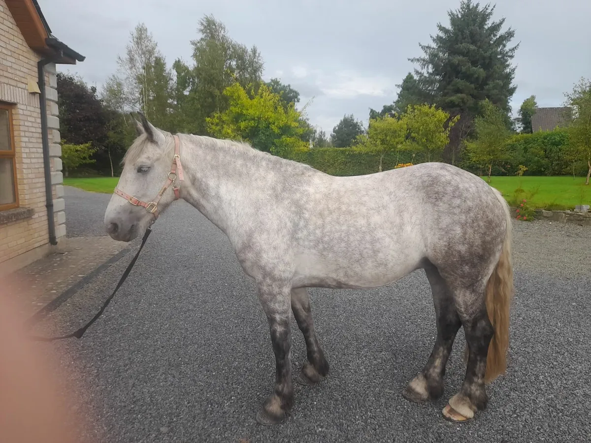 Draughtxconnemara - Image 1