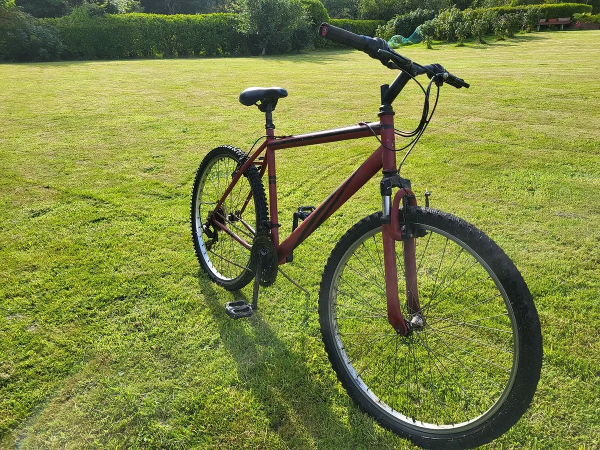 Mens mountain bike - Image 3
