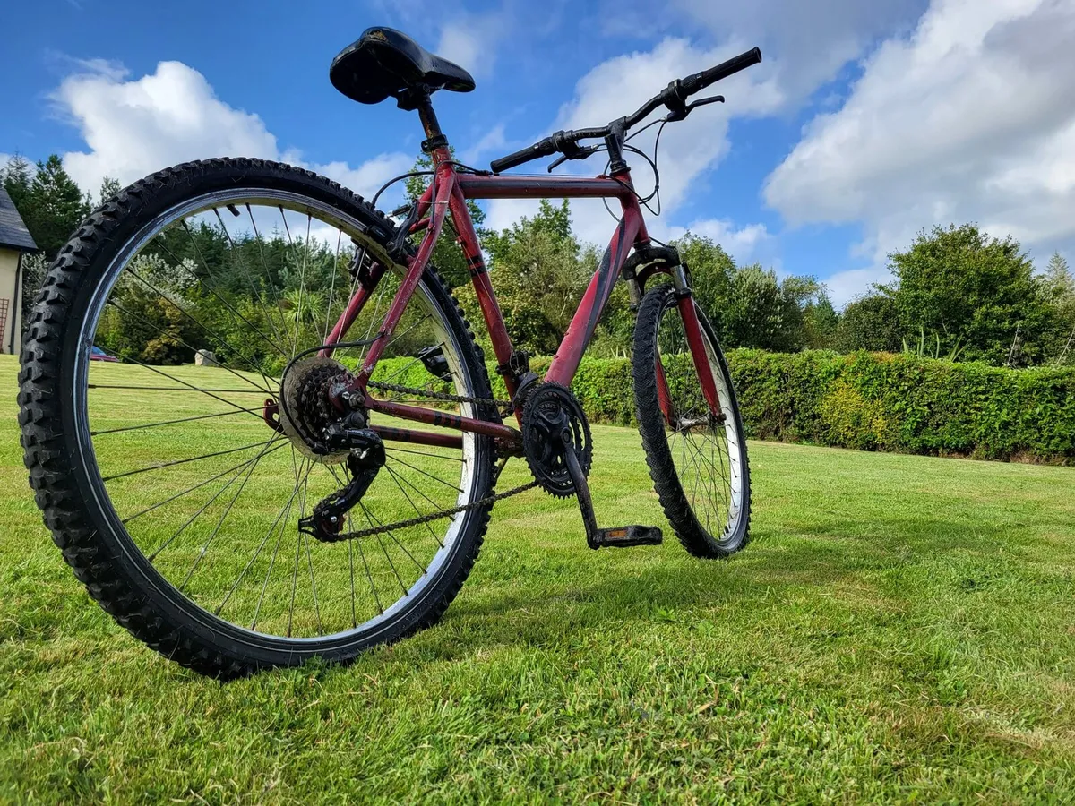 Mens mountain bike - Image 1