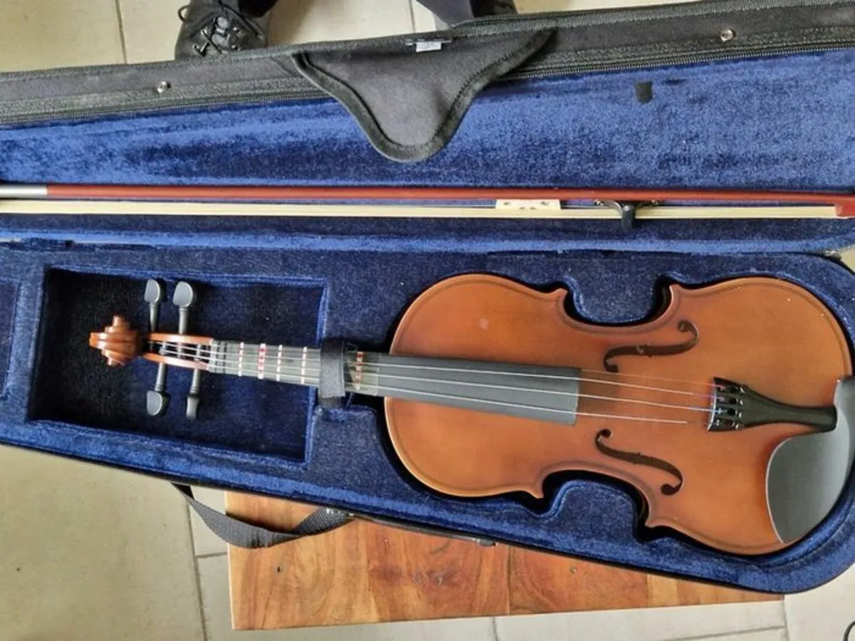 NEW Aileen Music Violin in Zipped Carry Case - Image 1