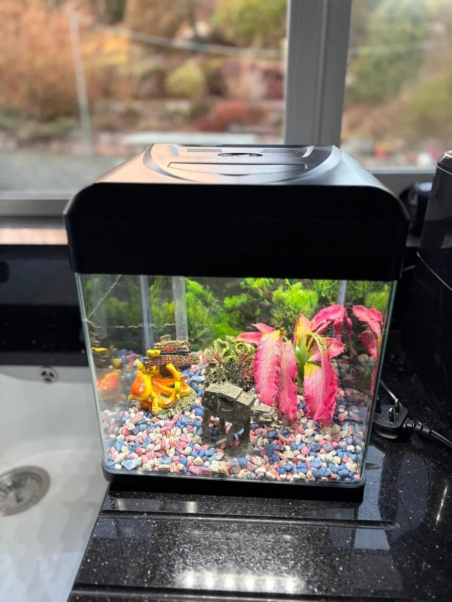 Fish tank with filter - Image 1