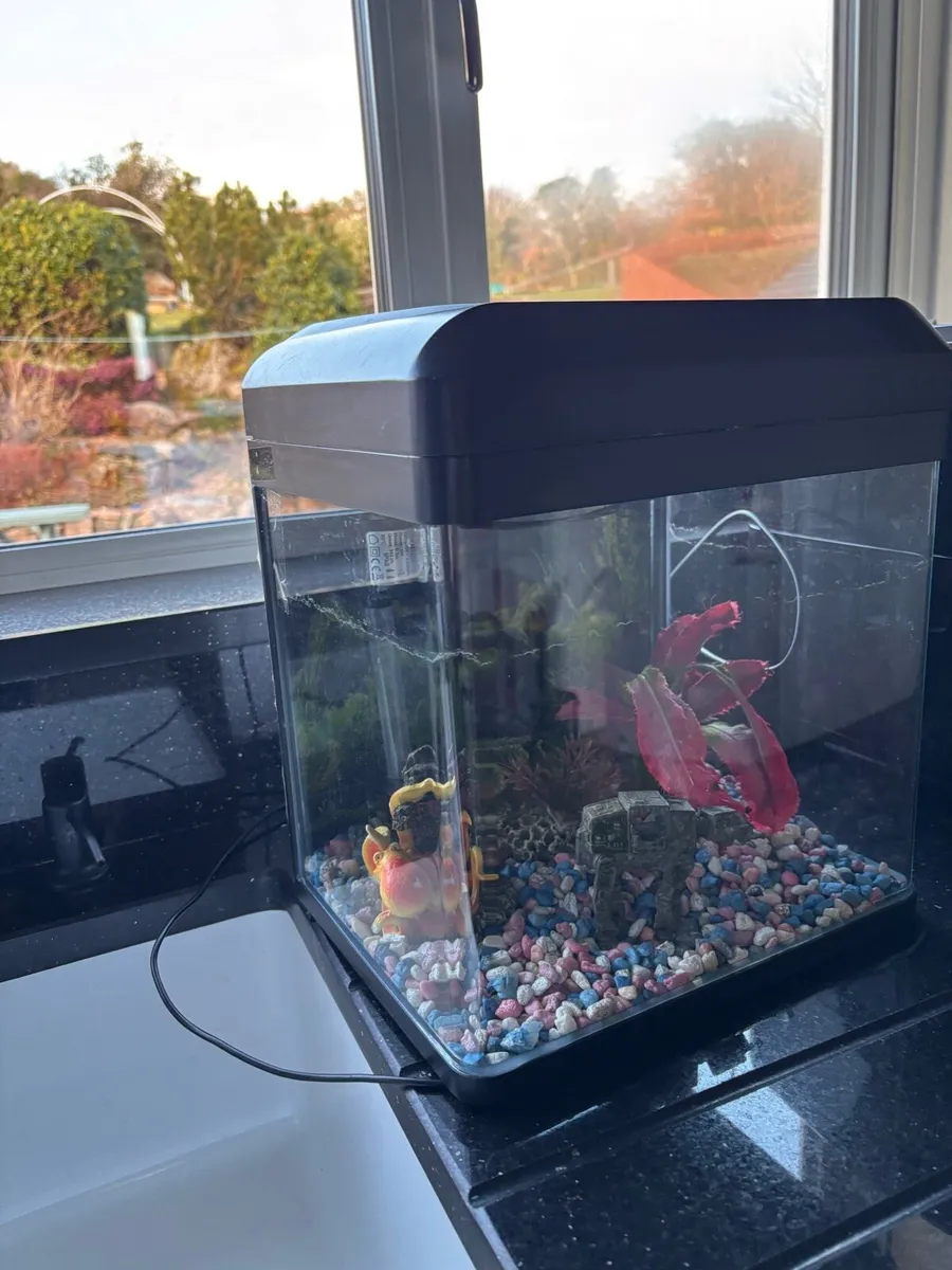 Fish tank with filter - Image 2