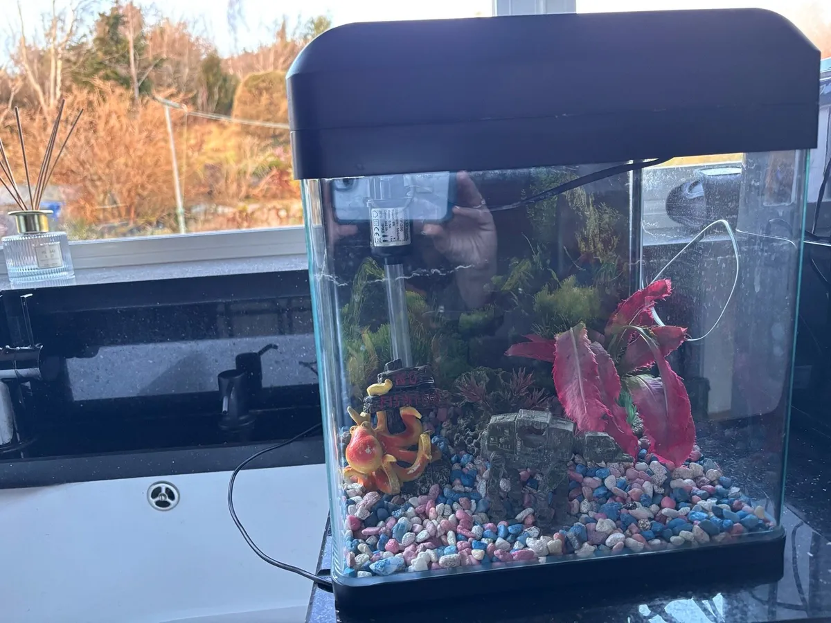 Fish tank with filter - Image 3