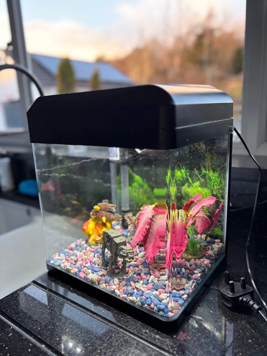Fish tank with filter - Image 4