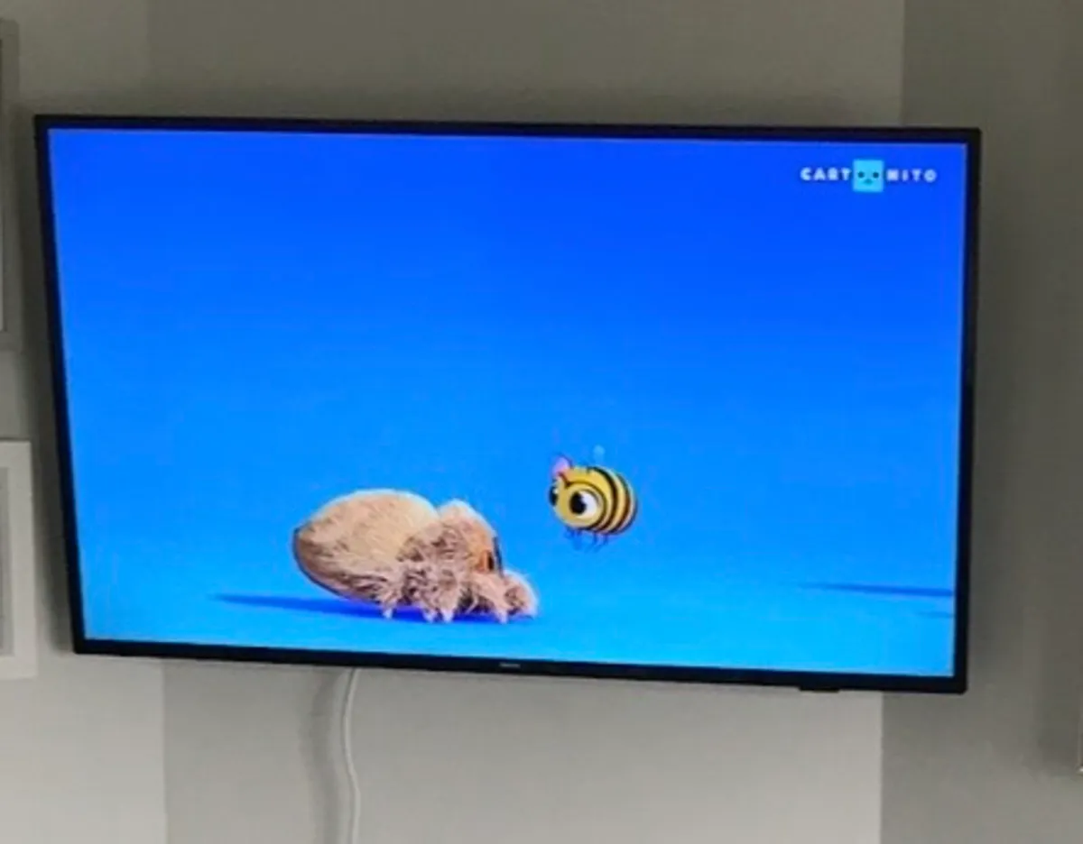 GC Handyman - TV Wall Mounting - Image 4