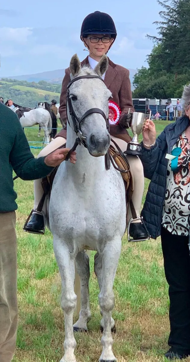 Holly 13h 8 yr old Grey Mare - Image 3