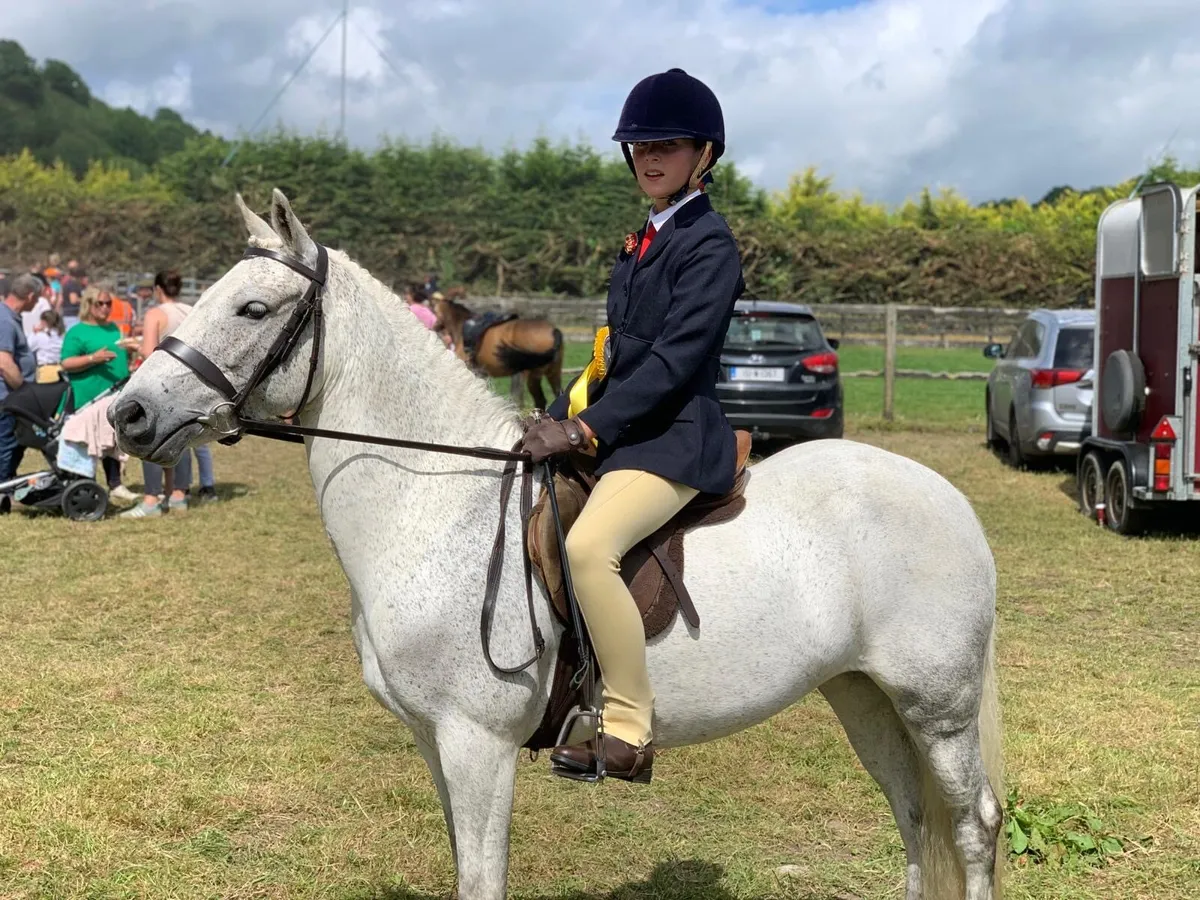 Holly 13h 8 yr old Grey Mare - Image 2