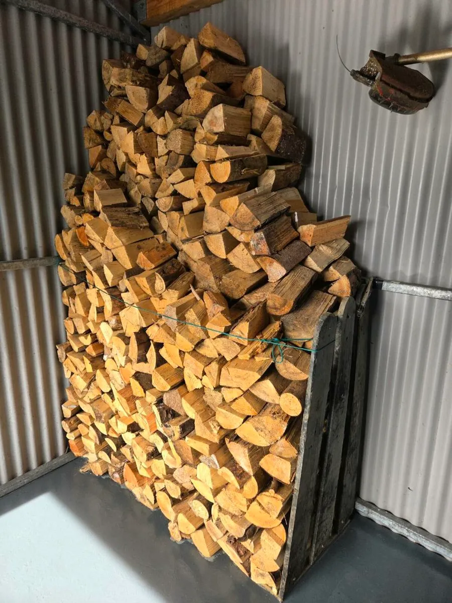 Timber - Image 2