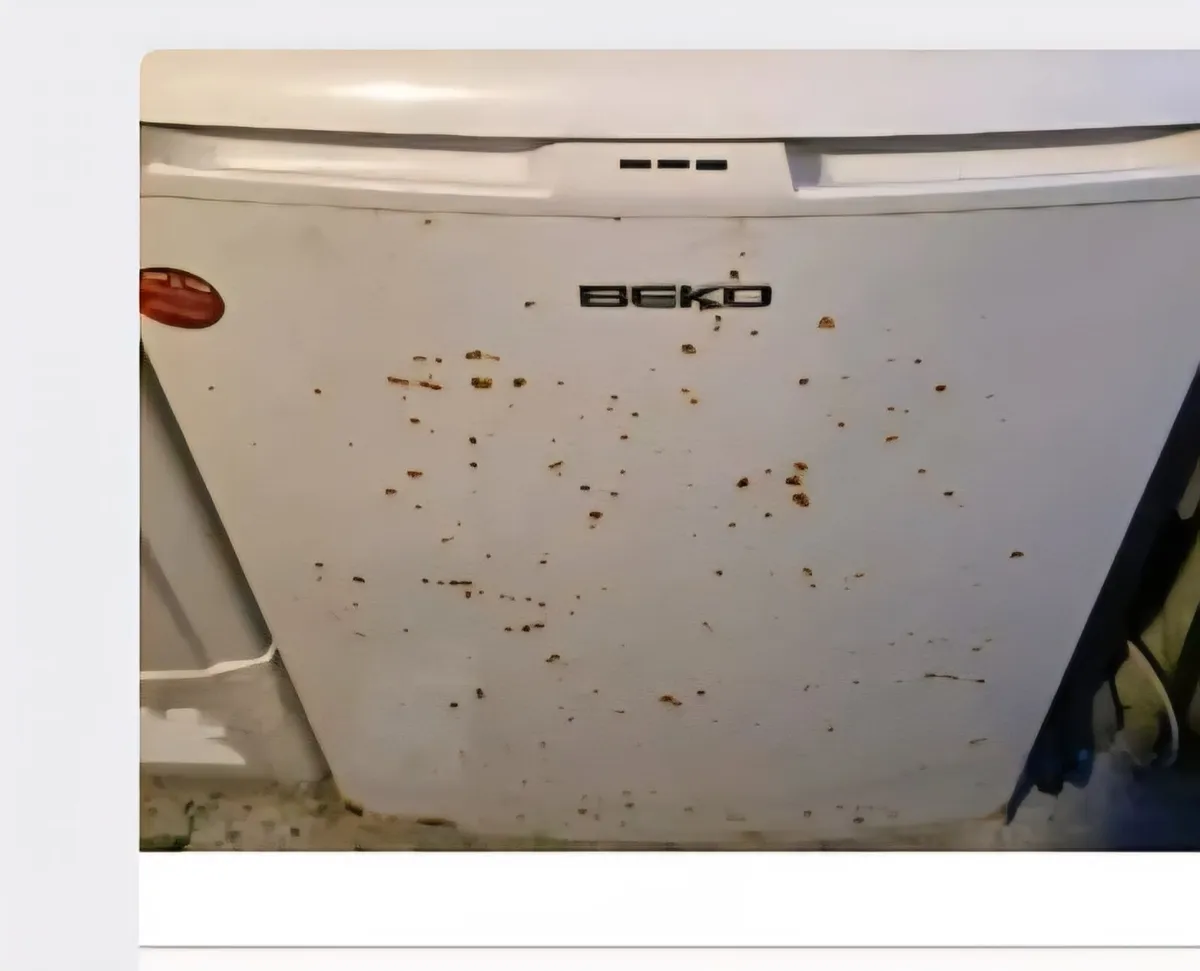 Freezer