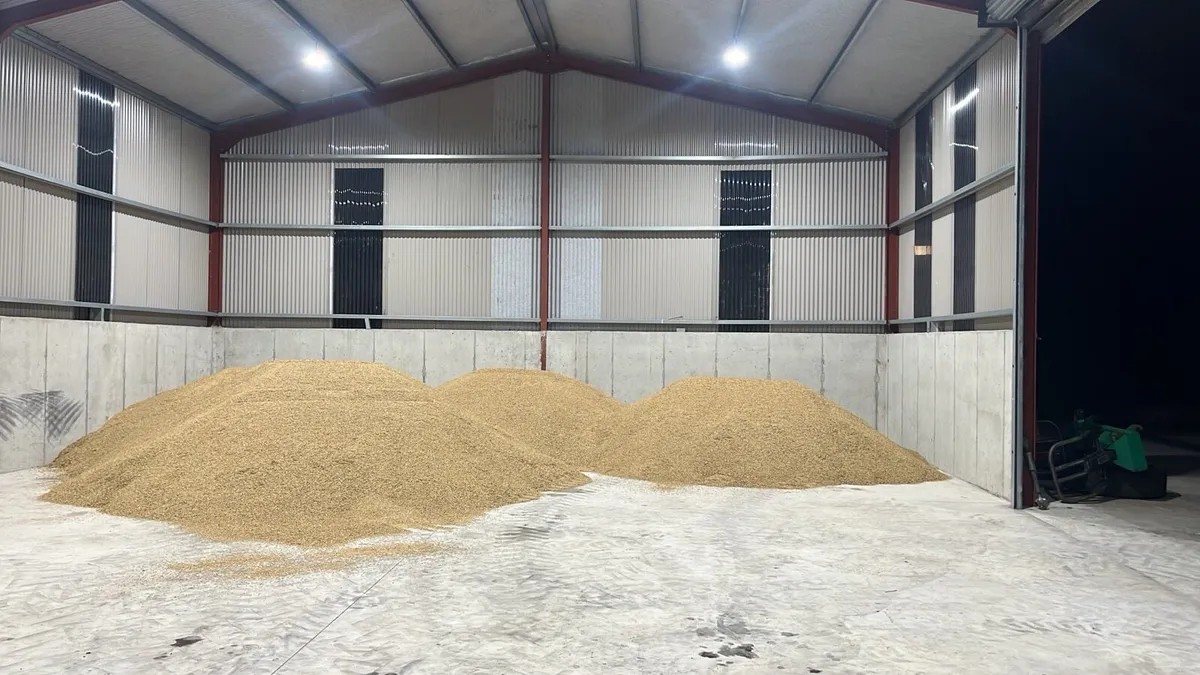 Organic Oats - Image 3