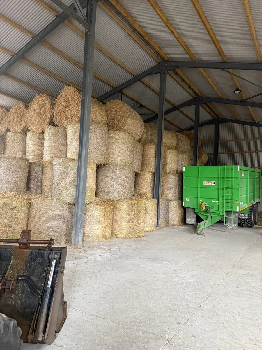 Winter barley straw - Image 1