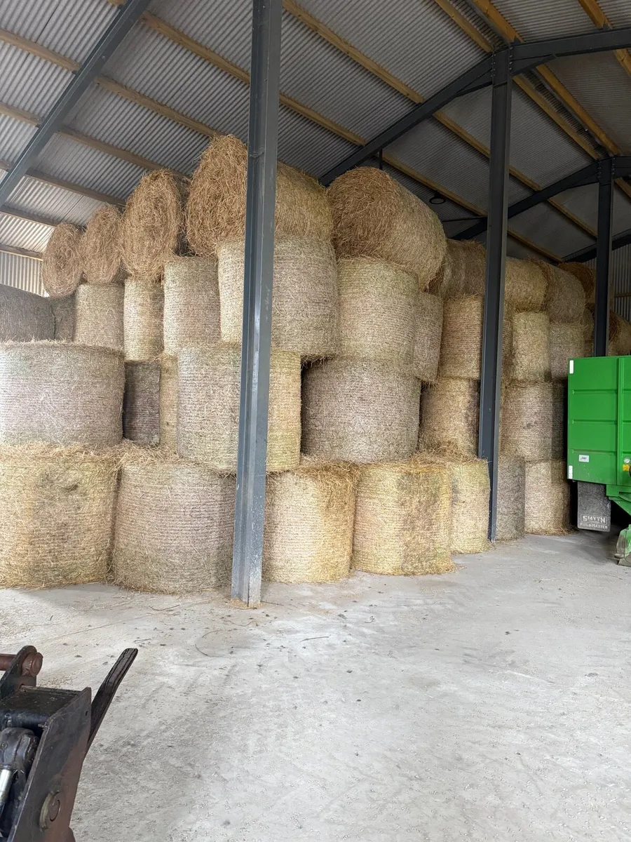 Winter barley straw - Image 2