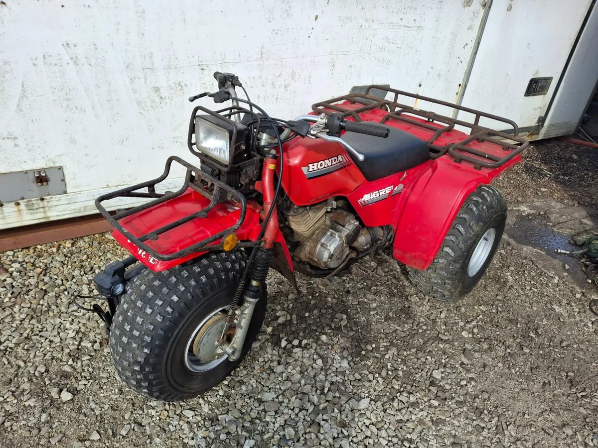 Honda trike 250 atc - Image 1