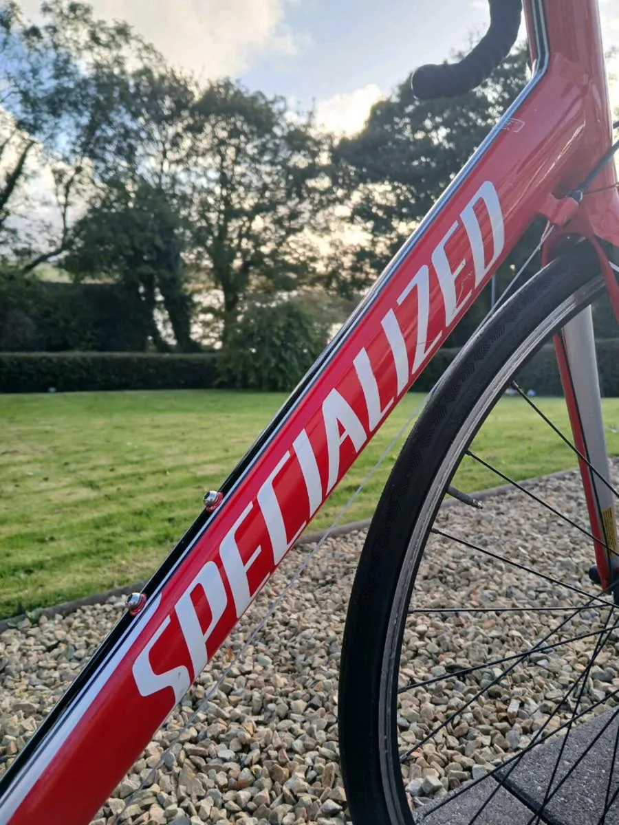 Specialized Allez road bike - Image 2