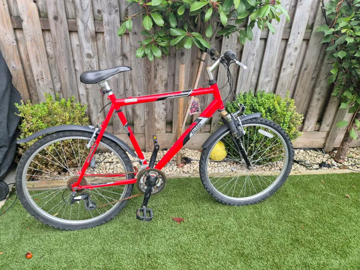 Adult Raleigh Mantaray Bike - Image 1