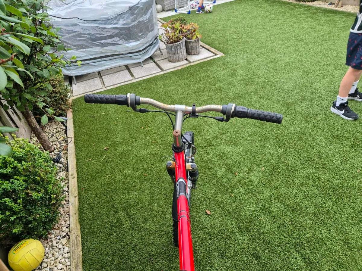 Adult Raleigh Mantaray Bike - Image 2