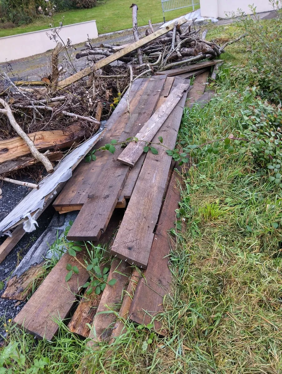 Firewood - Image 2