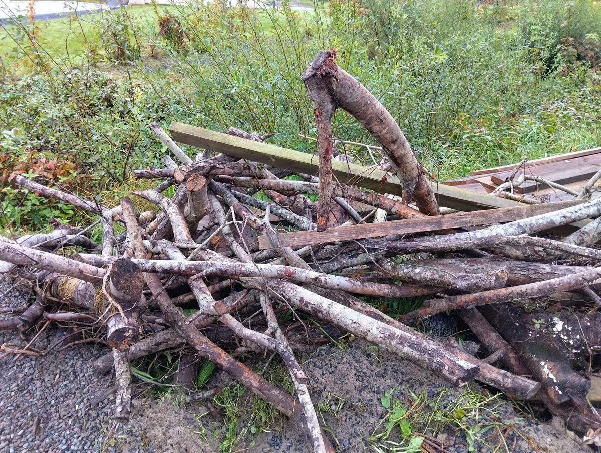 Firewood - Image 3