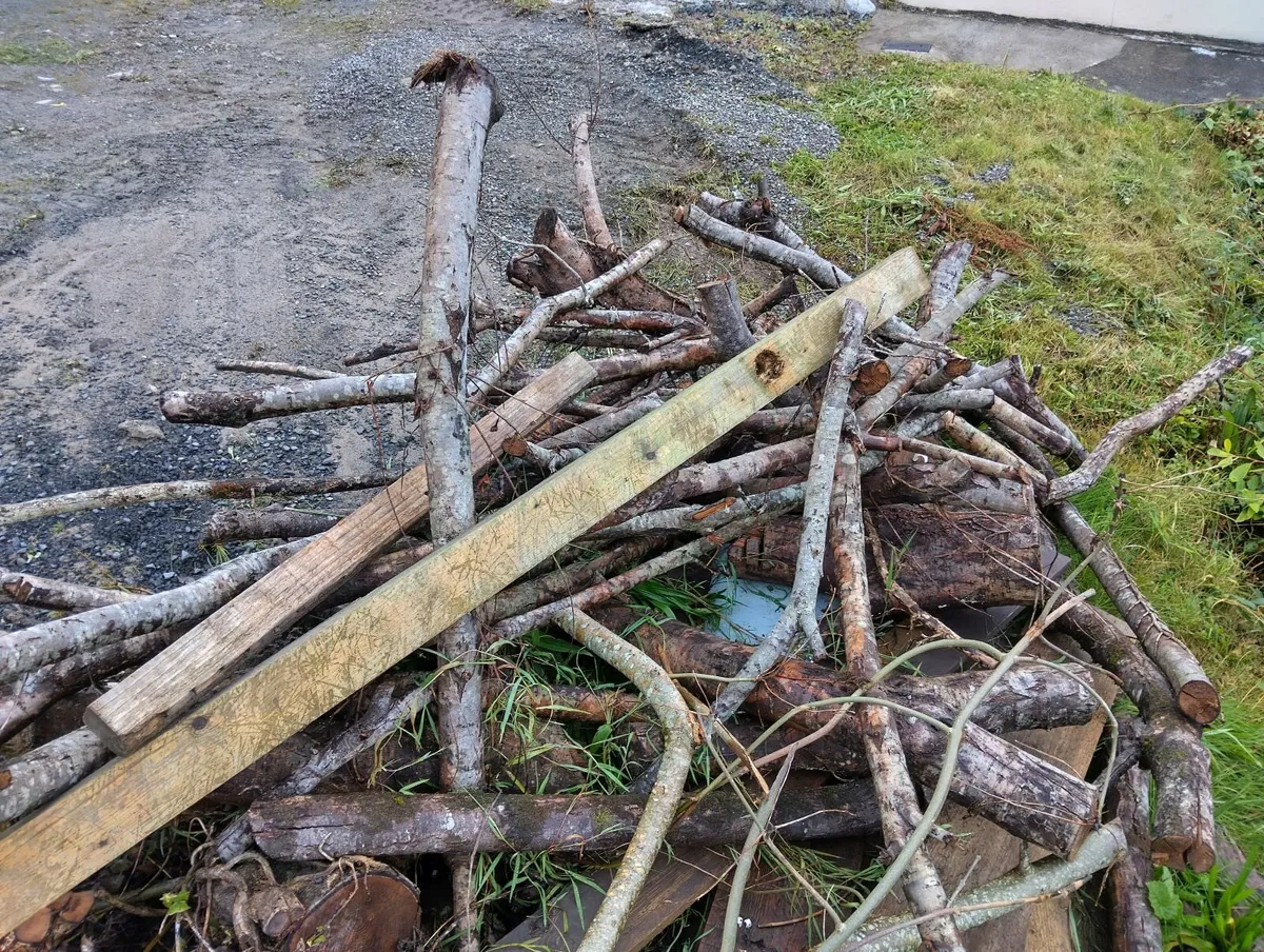 Firewood - Image 4