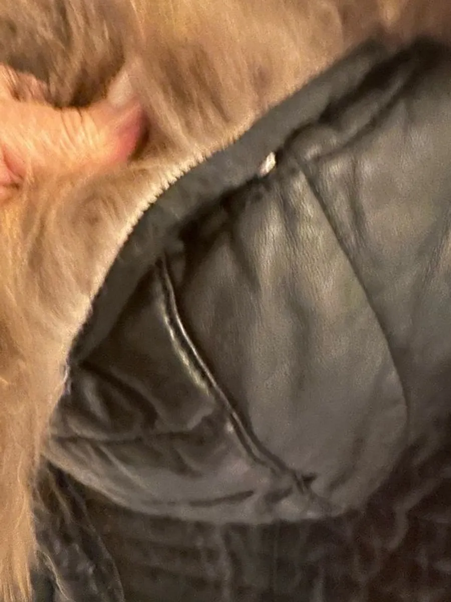 oakwood leather jacket - Image 4