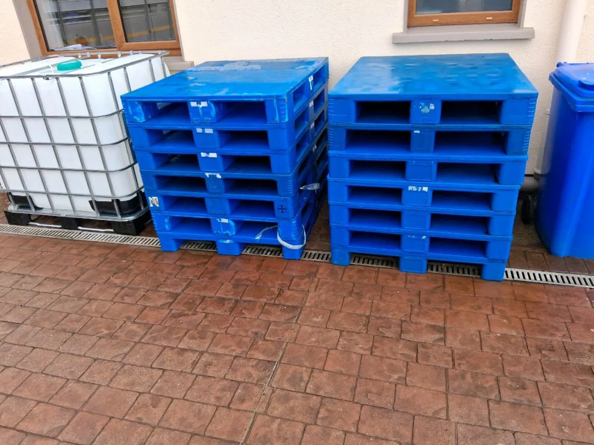 Plastic pallets - Image 1