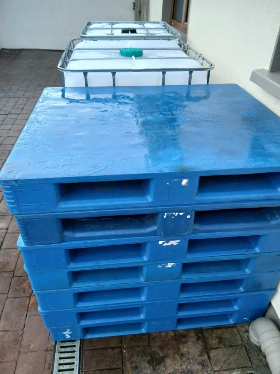 Plastic pallets - Image 3