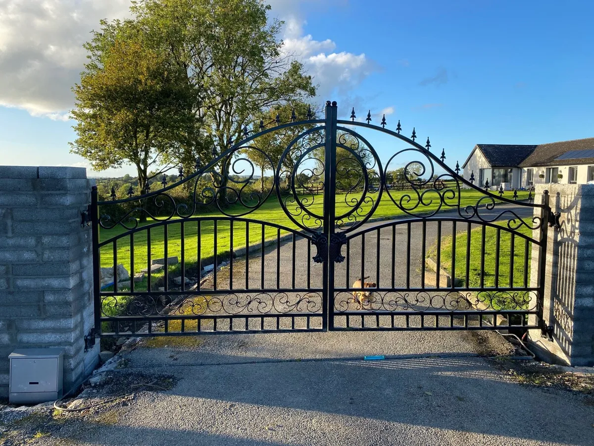 Gates 4.2 meters wide - Image 1