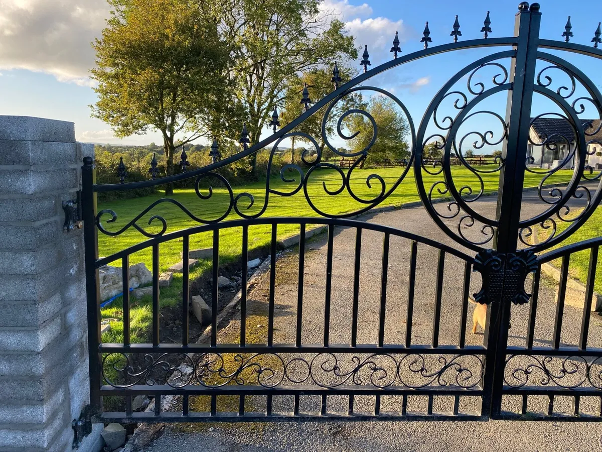 Gates 4.2 meters wide - Image 2