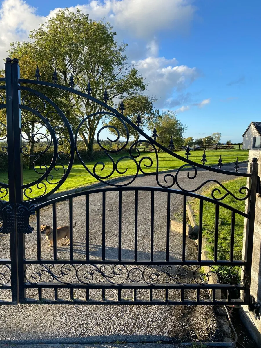 Gates 4.2 meters wide - Image 3