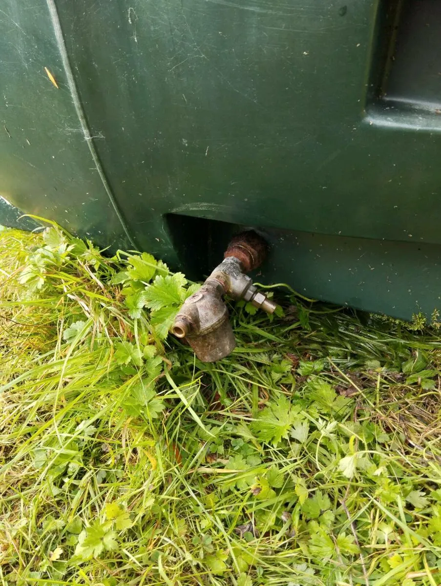 Oil Tank 1000 Litre - Image 2