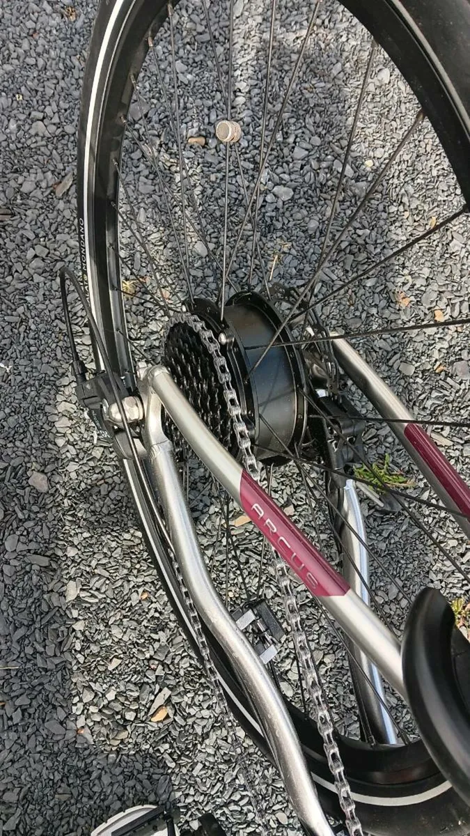 Electric bike - Image 1