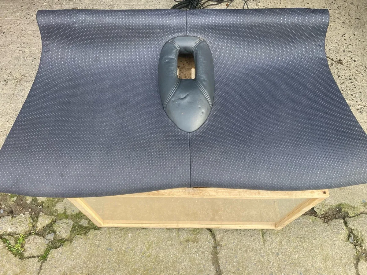 R53 Mini Cooper S half leather seats - Image 2