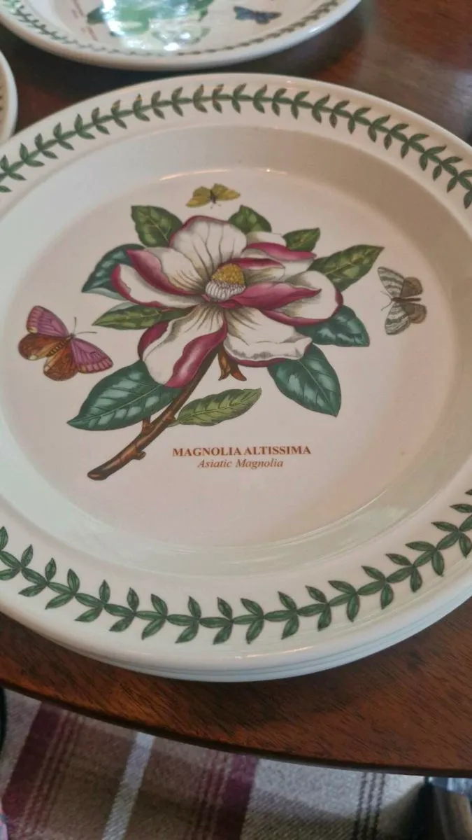 28 piece Portmeirion dinner set - Image 3