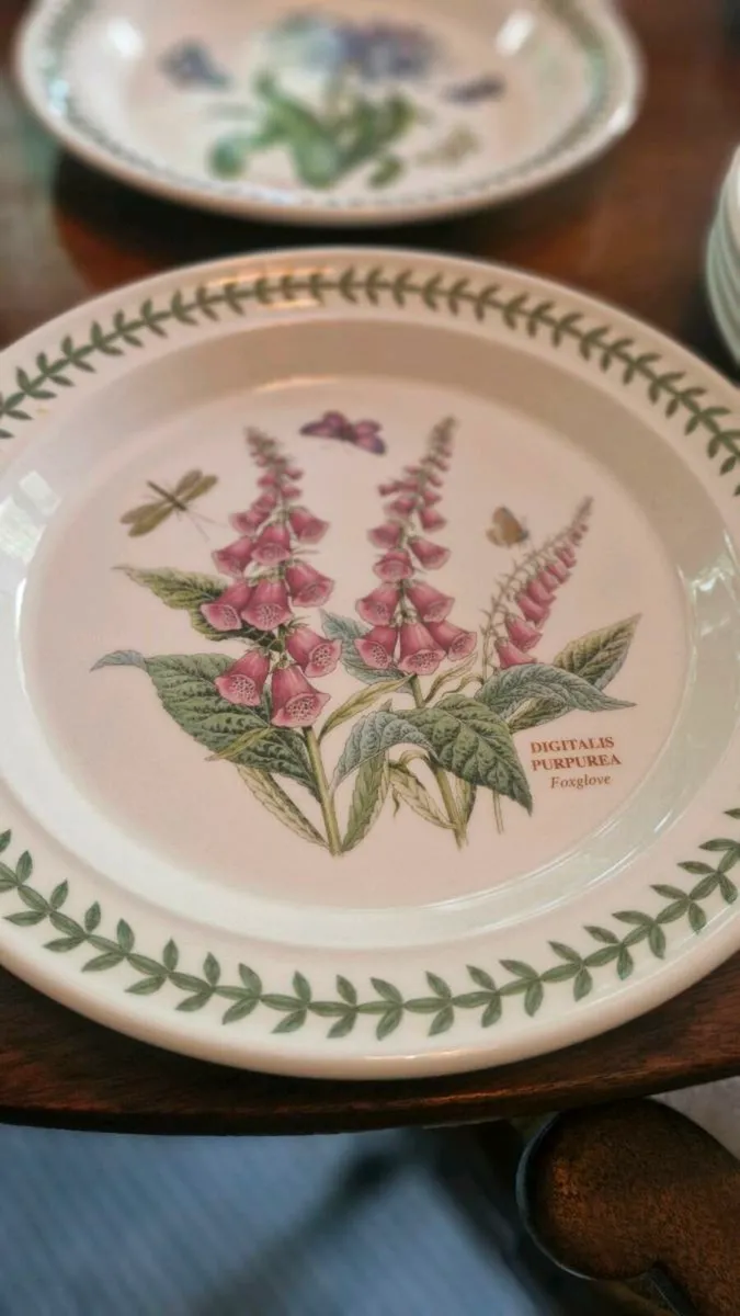 28 piece Portmeirion dinner set - Image 4