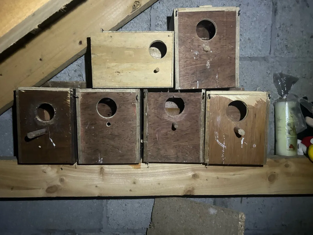 Bird boxes and accessories - Image 2