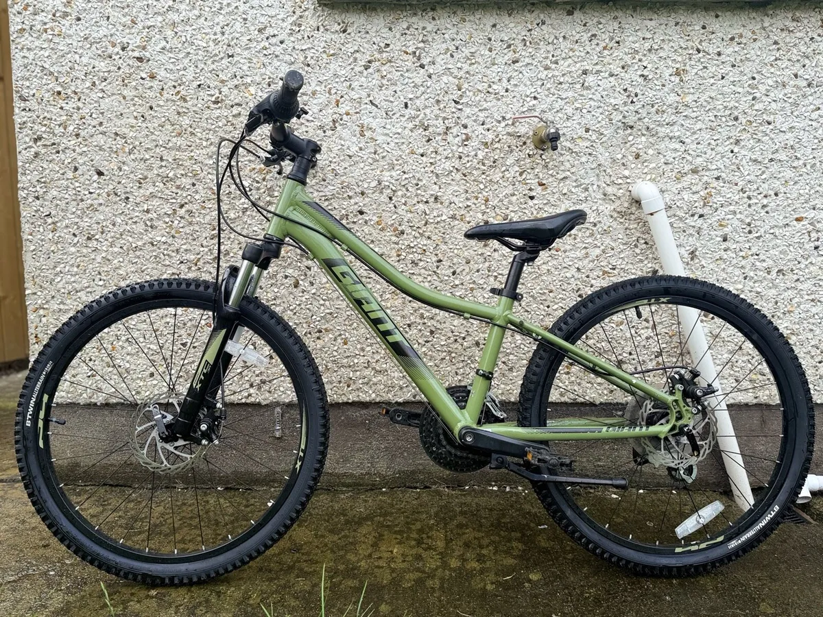Kids mountain bike - Image 1