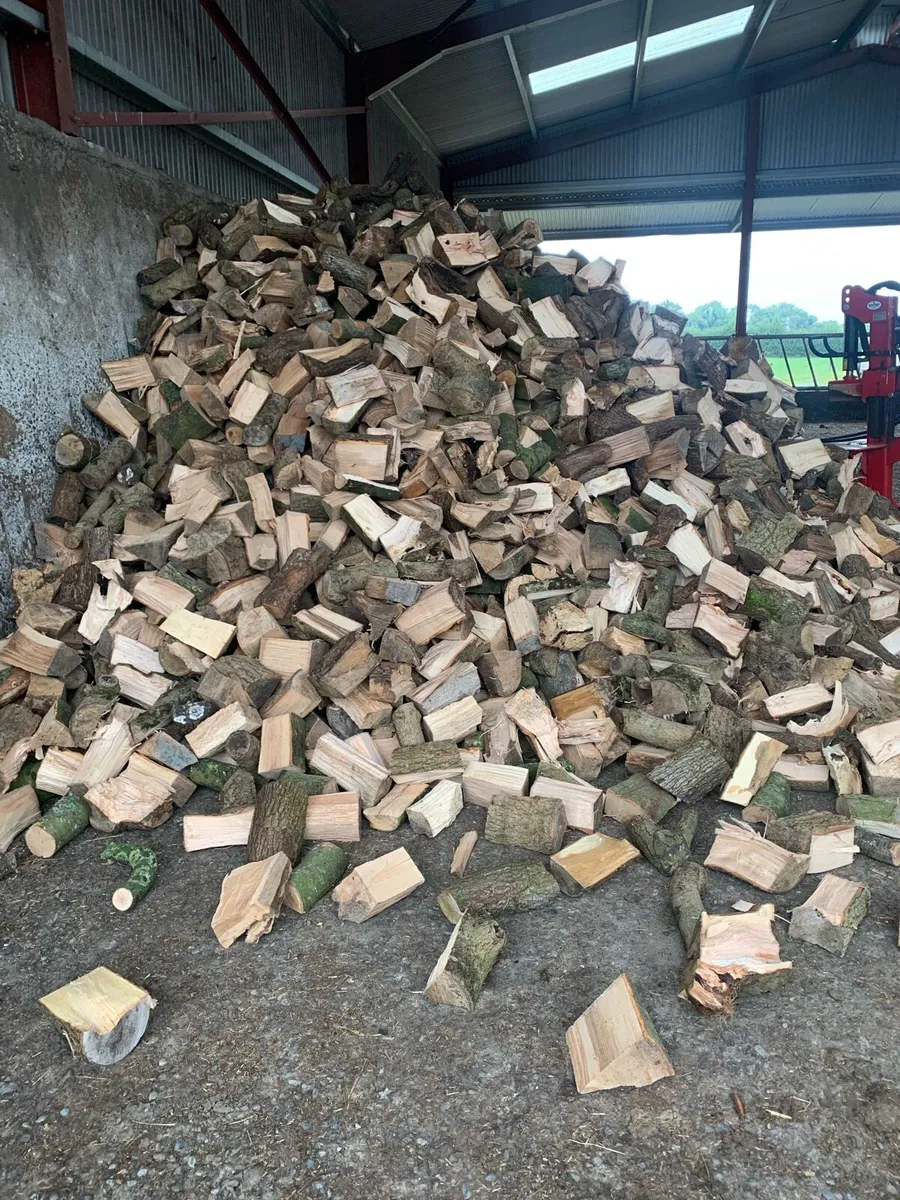 Firewood - Image 1