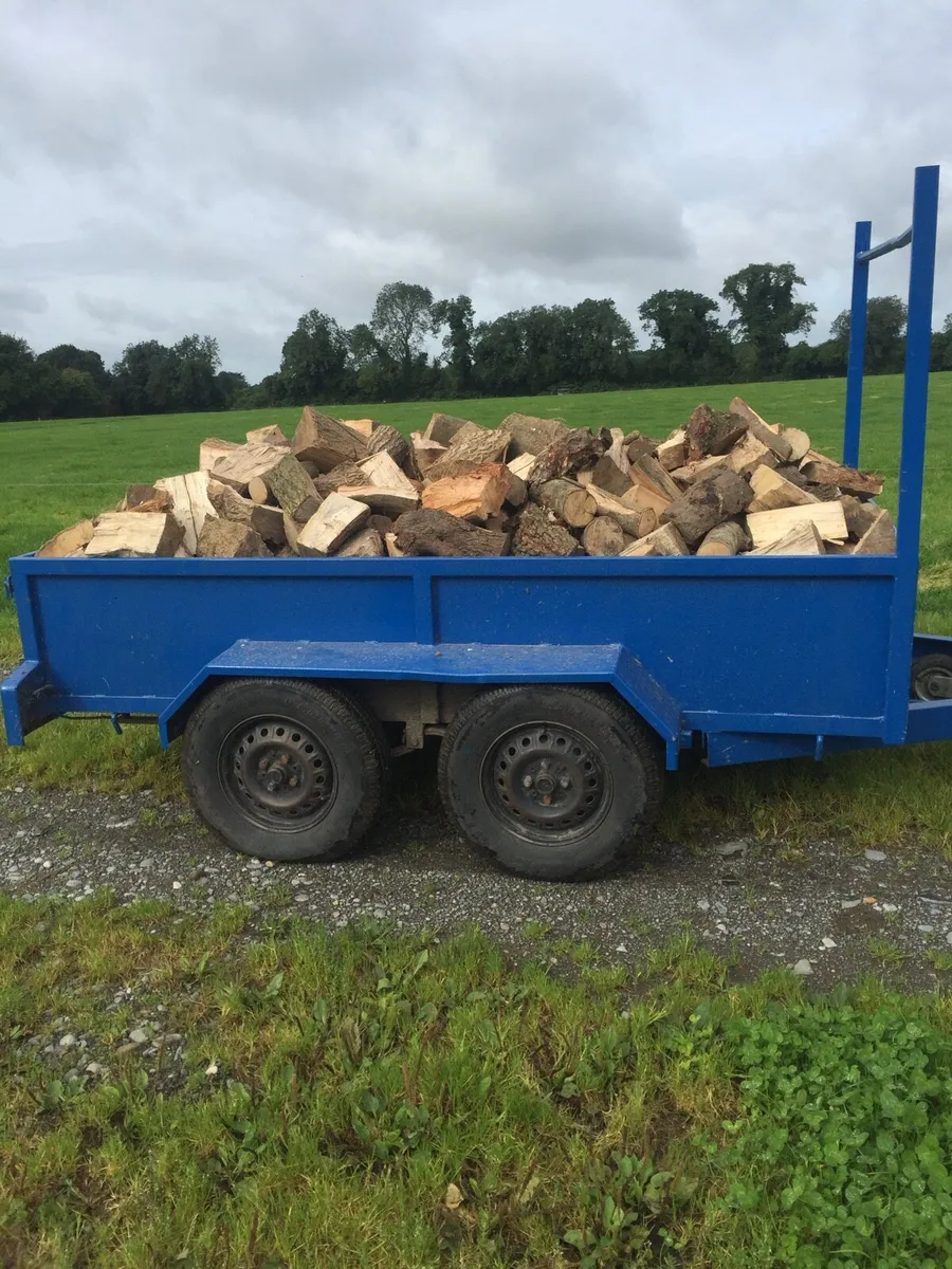 Firewood - Image 3