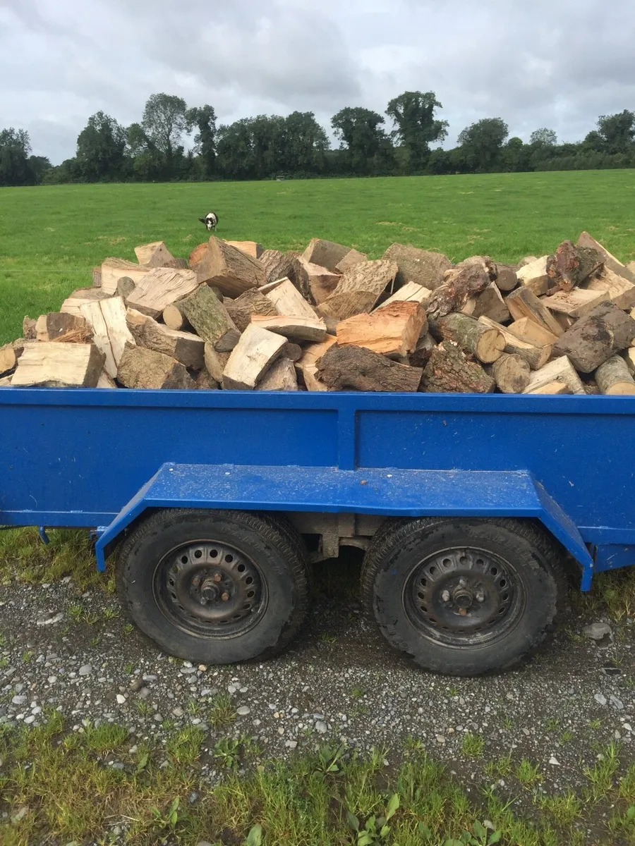 Firewood - Image 4