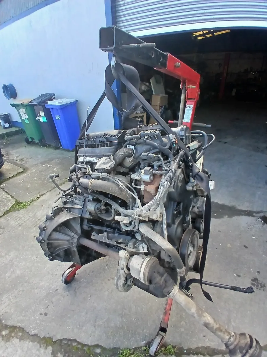 1.6 hdi 8 valves - Image 3