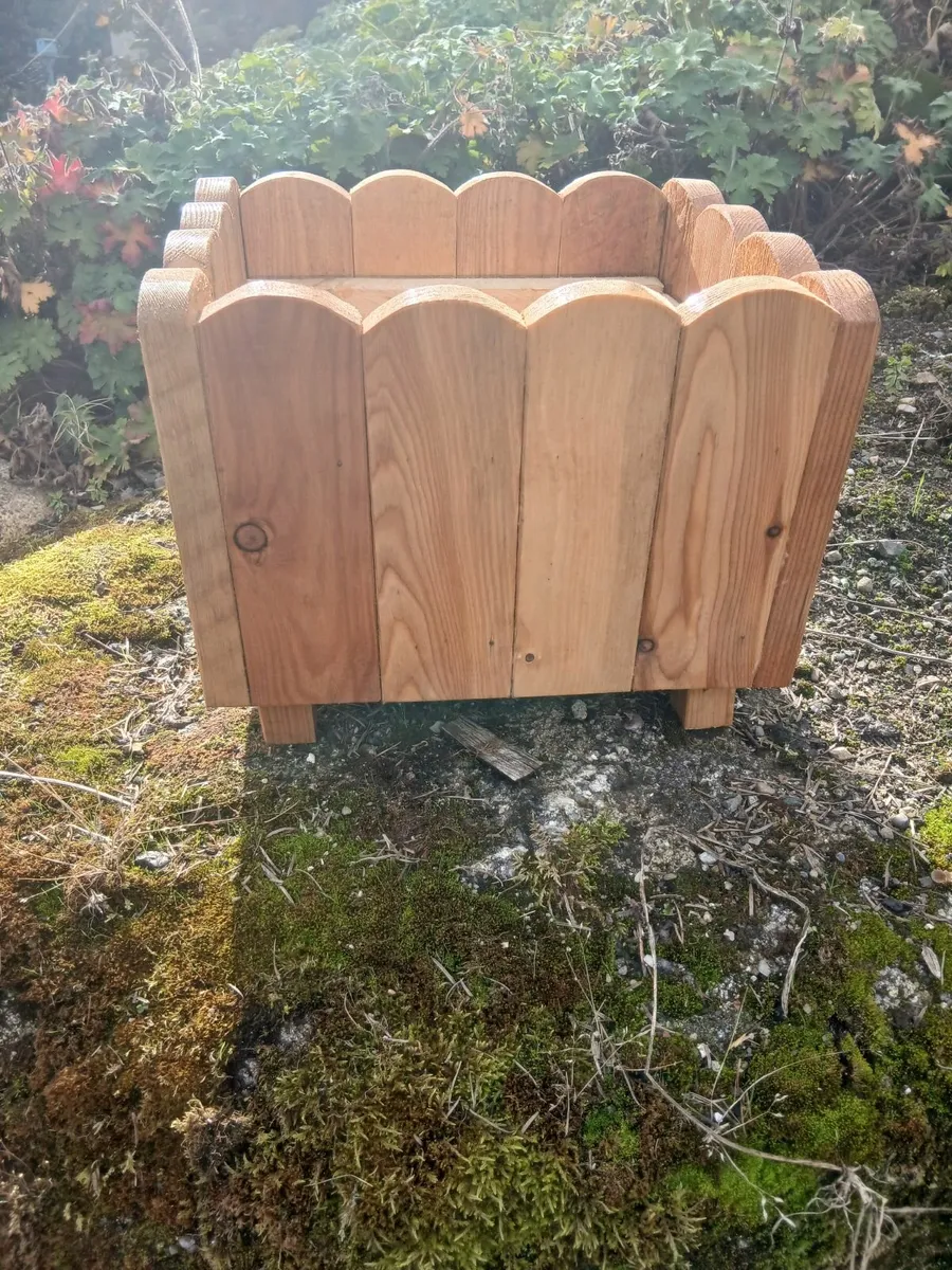 Flower boxes - Image 2